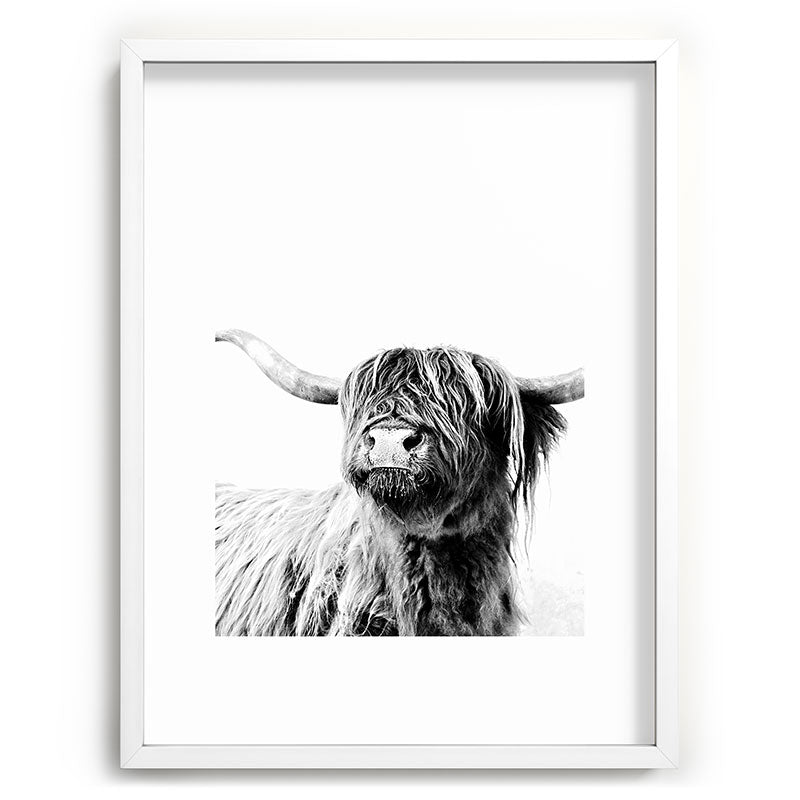 HIGHLAND CATTLE FRIDA Framed Art Print Gallery Image 108