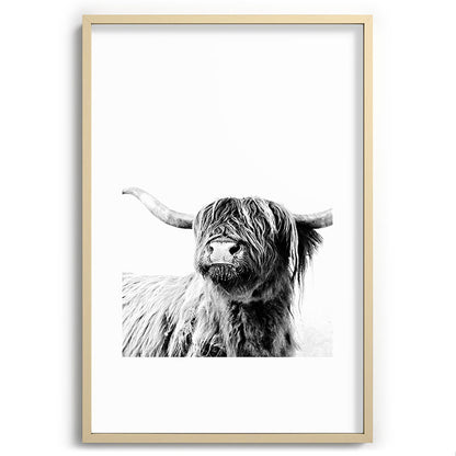 HIGHLAND CATTLE FRIDA Framed Art Print Gallery Image 102