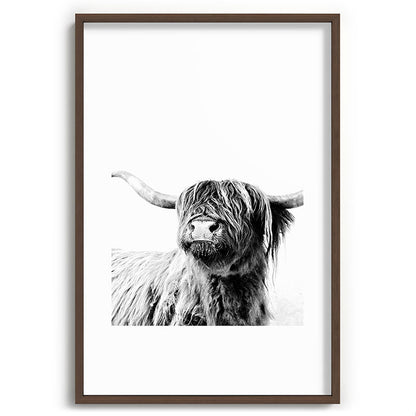 HIGHLAND CATTLE FRIDA Framed Art Print Gallery Image 94