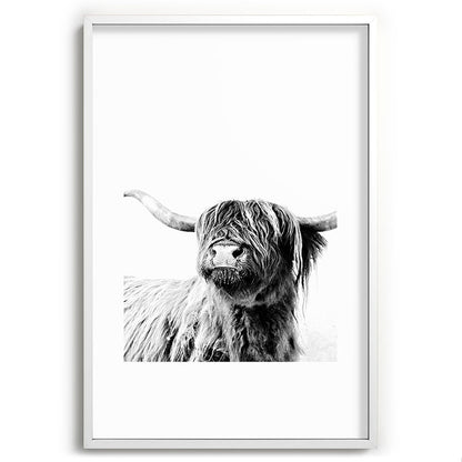 HIGHLAND CATTLE FRIDA Framed Art Print Gallery Image 110