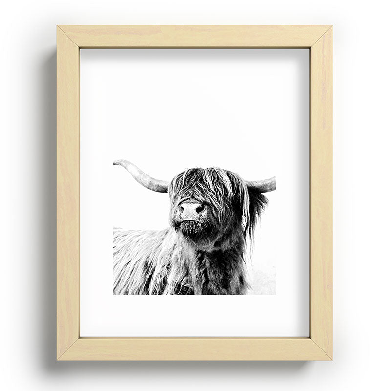 HIGHLAND CATTLE FRIDA Framed Art Print Gallery Image 95