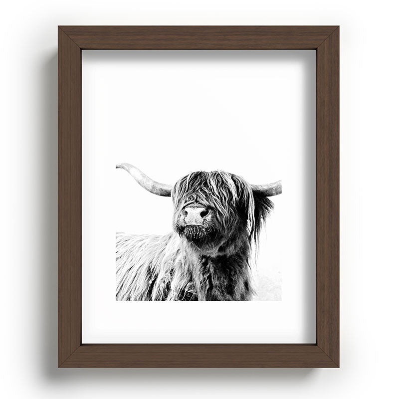 HIGHLAND CATTLE FRIDA Framed Art Print Gallery Image 86