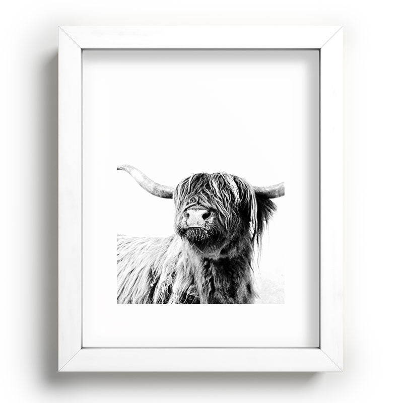 HIGHLAND CATTLE FRIDA Framed Art Print Gallery Image 104