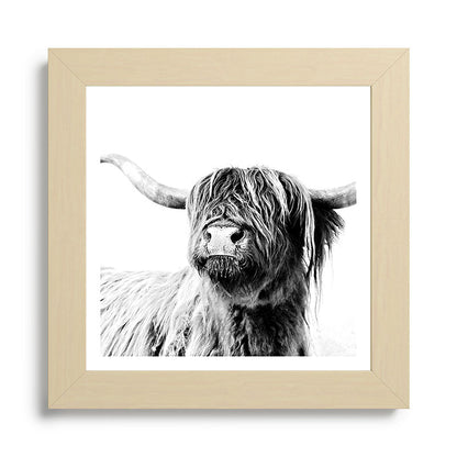 HIGHLAND CATTLE FRIDA Framed Art Print Gallery Image 68