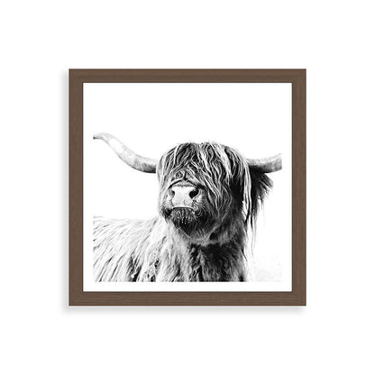 HIGHLAND CATTLE FRIDA Framed Art Print Gallery Image 60