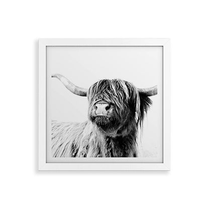 HIGHLAND CATTLE FRIDA Framed Art Print Gallery Image 82