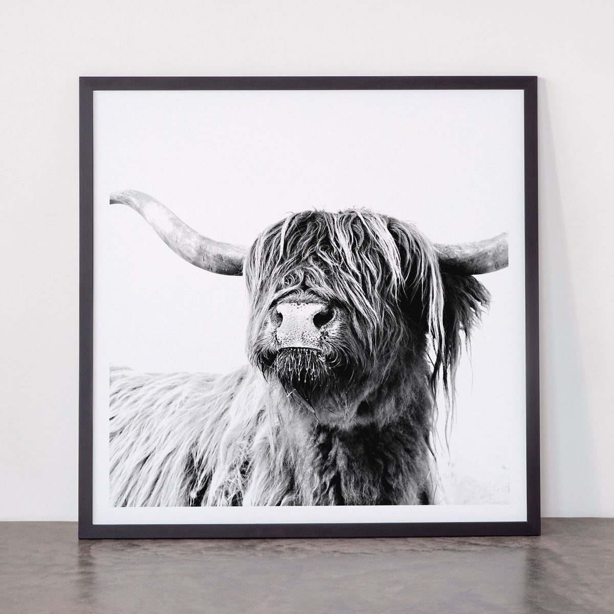 HIGHLAND CATTLE FRIDA Framed Art Print Gallery Image 55