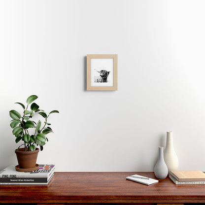 HIGHLAND CATTLE FRIDA Framed Art Print Gallery Image 59