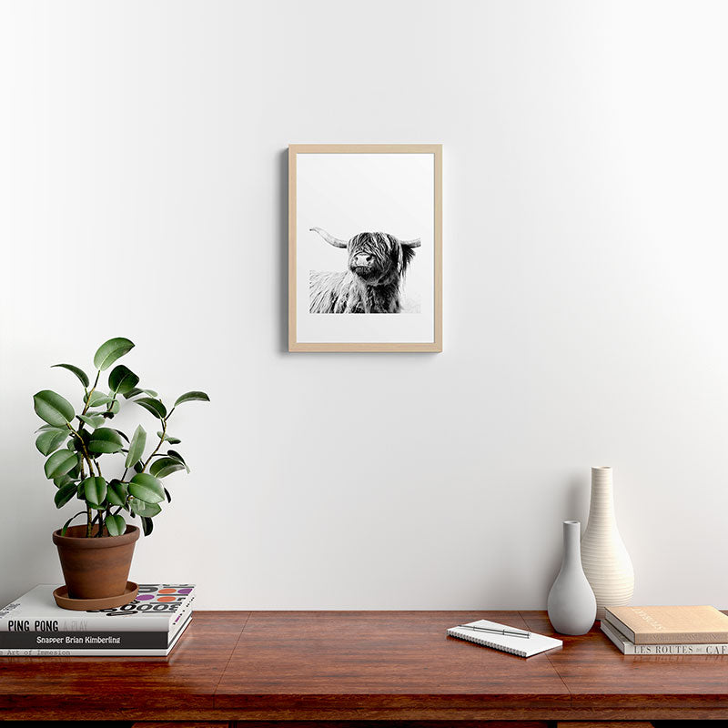 HIGHLAND CATTLE FRIDA Framed Art Print Gallery Image 23