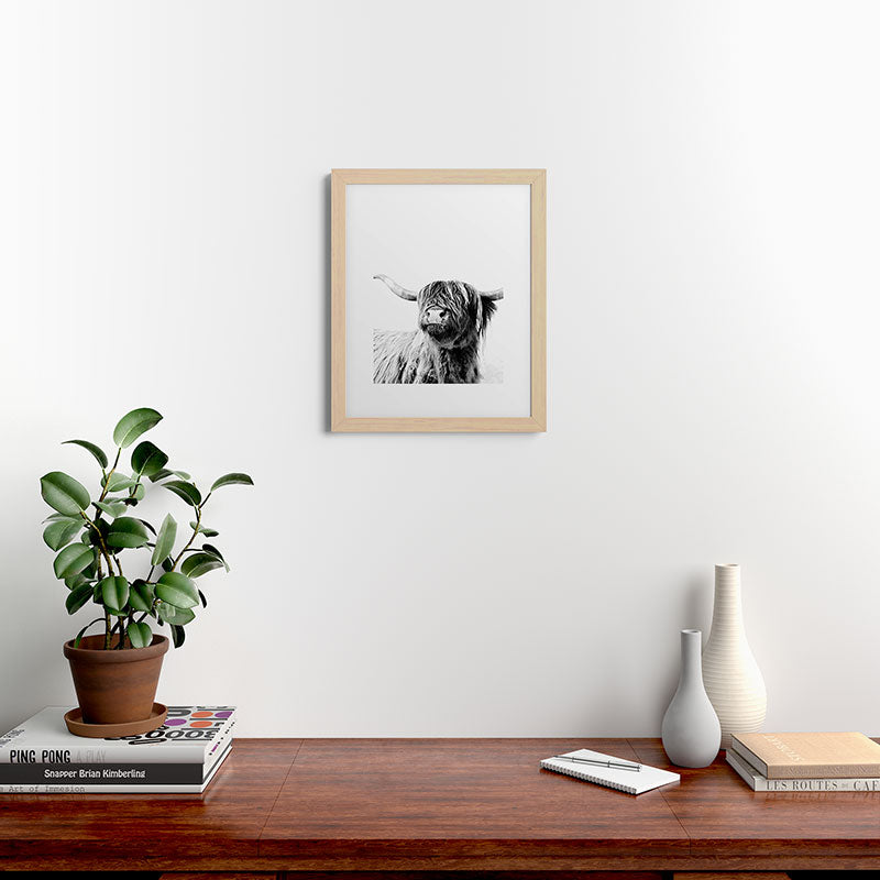 HIGHLAND CATTLE FRIDA Framed Art Print Gallery Image 63