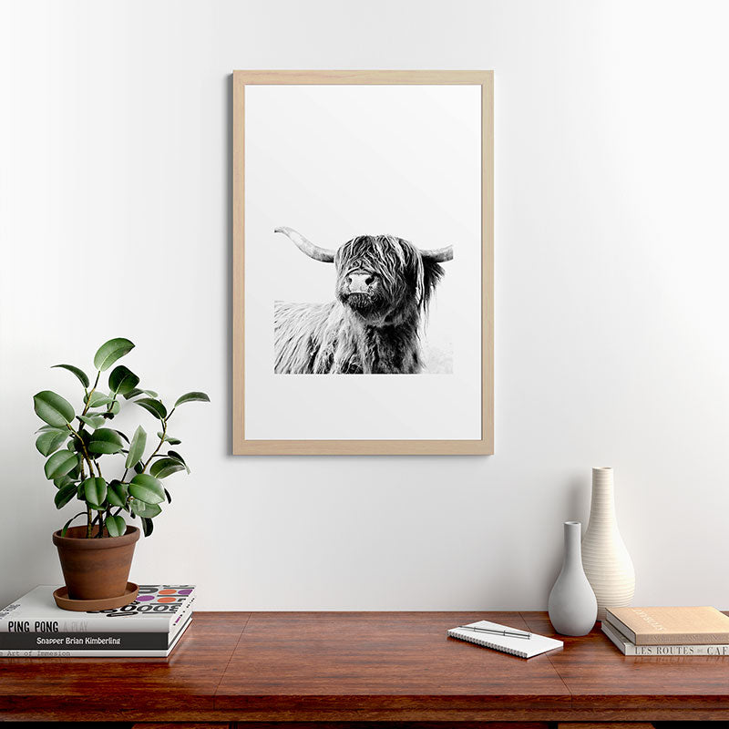 HIGHLAND CATTLE FRIDA Framed Art Print Gallery Image 65