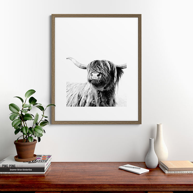 HIGHLAND CATTLE FRIDA Framed Art Print Gallery Image 58