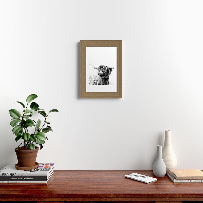 HIGHLAND CATTLE FRIDA Framed Art Print Gallery Image 52