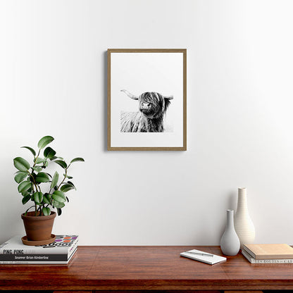 HIGHLAND CATTLE FRIDA Framed Art Print Gallery Image 16