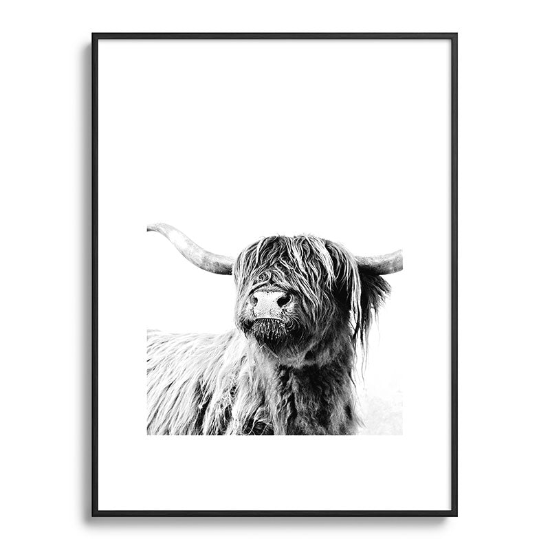 HIGHLAND CATTLE FRIDA Framed Art Print Gallery Image 115