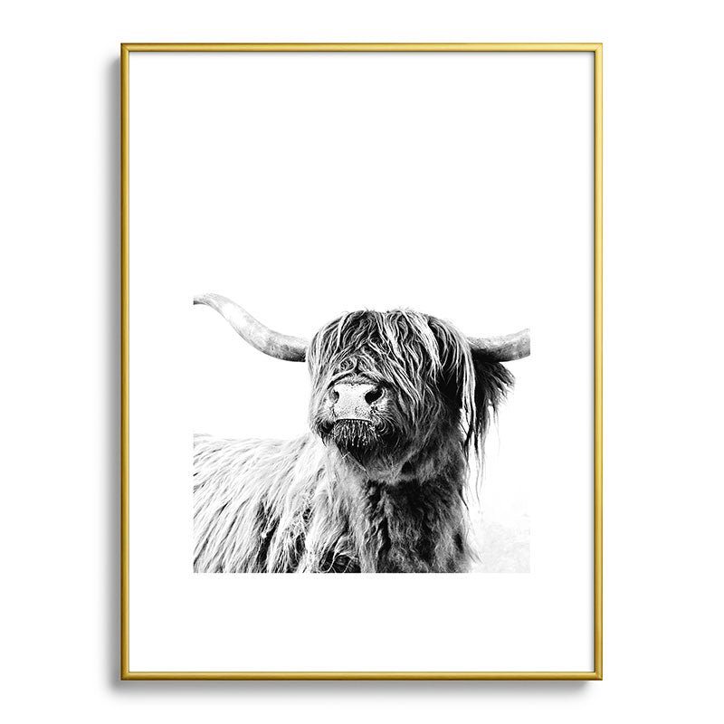 HIGHLAND CATTLE FRIDA Framed Art Print Gallery Image 124