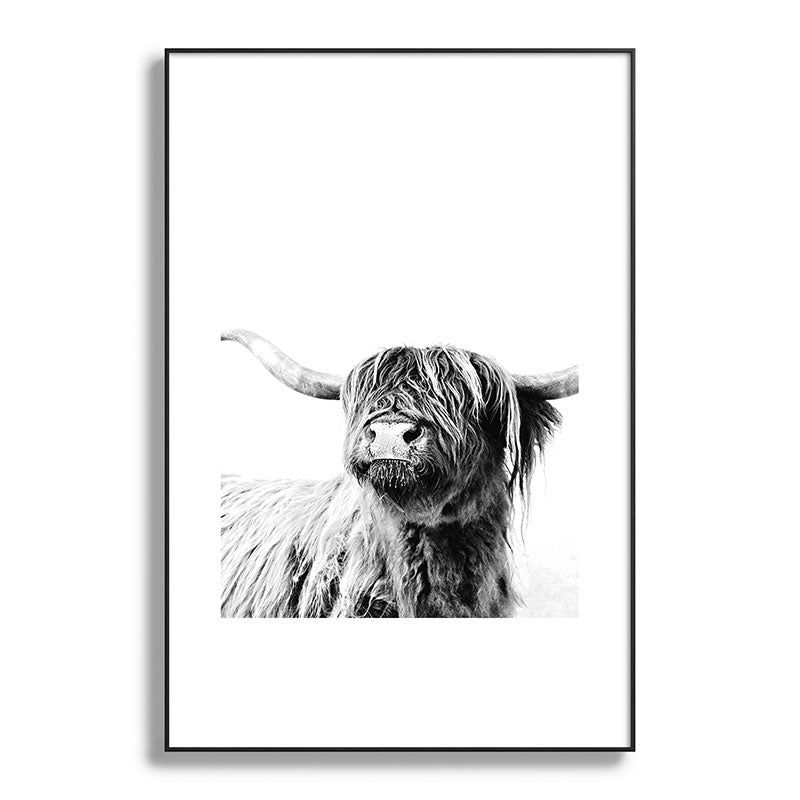 HIGHLAND CATTLE FRIDA Framed Art Print Gallery Image 119