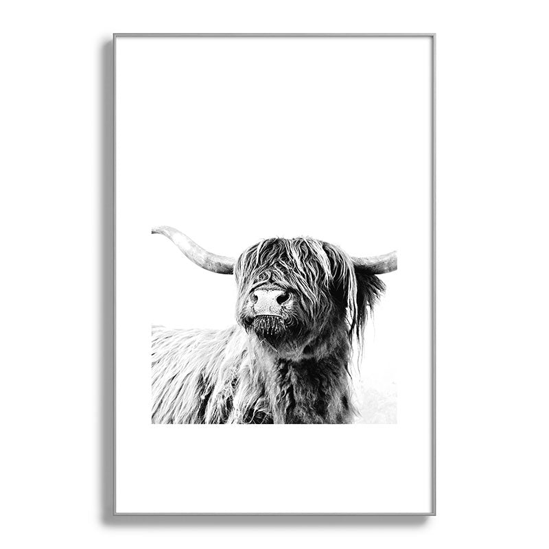 HIGHLAND CATTLE FRIDA Framed Art Print Gallery Image 138