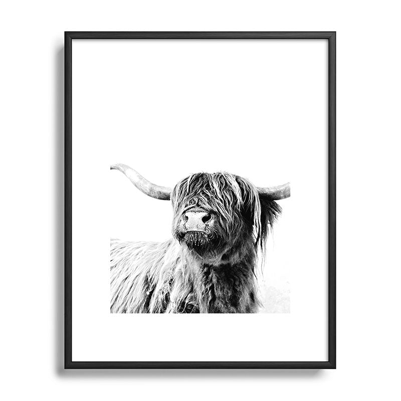 HIGHLAND CATTLE FRIDA Framed Art Print Gallery Image 111