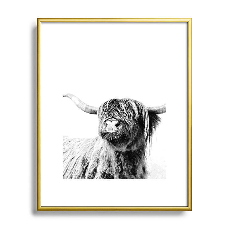 HIGHLAND CATTLE FRIDA Framed Art Print Gallery Image 120