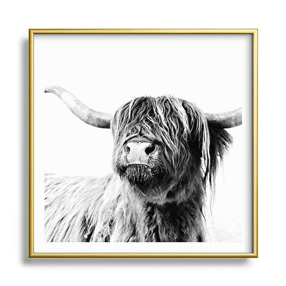 HIGHLAND CATTLE FRIDA Framed Art Print Gallery Image 133