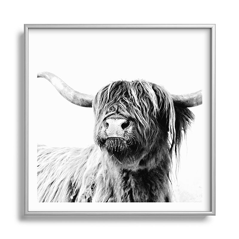 HIGHLAND CATTLE FRIDA Framed Art Print Gallery Image 140