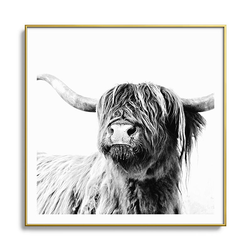 HIGHLAND CATTLE FRIDA Framed Art Print Gallery Image 136