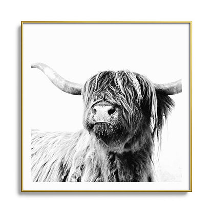 HIGHLAND CATTLE FRIDA Framed Art Print Gallery Image 136