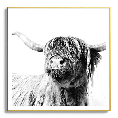 HIGHLAND CATTLE FRIDA Framed Art Print Gallery Image 139