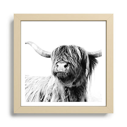 HIGHLAND CATTLE FRIDA Framed Art Print Gallery Image 24