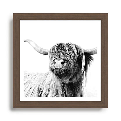 HIGHLAND CATTLE FRIDA Framed Art Print Gallery Image 13