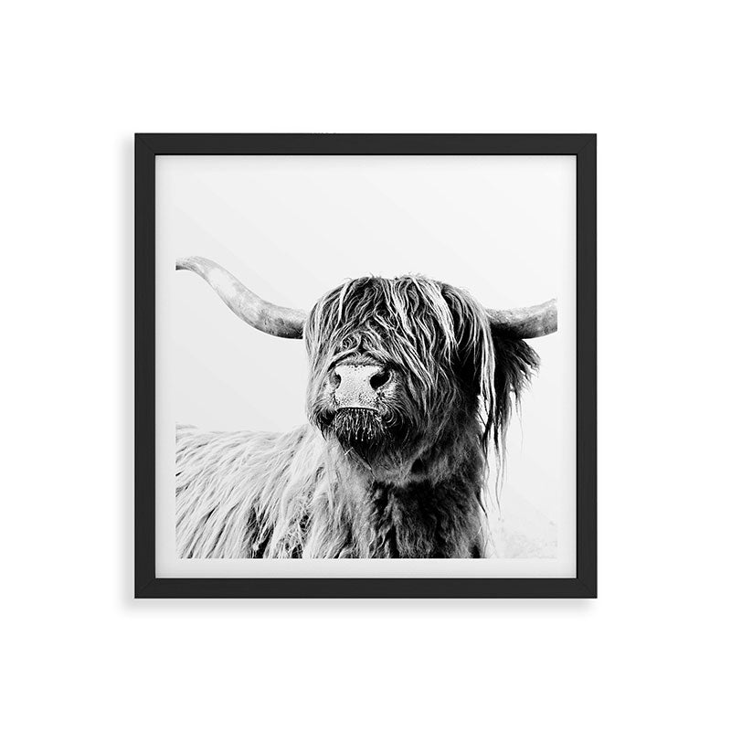 HIGHLAND CATTLE FRIDA Framed Art Print Gallery Image 7