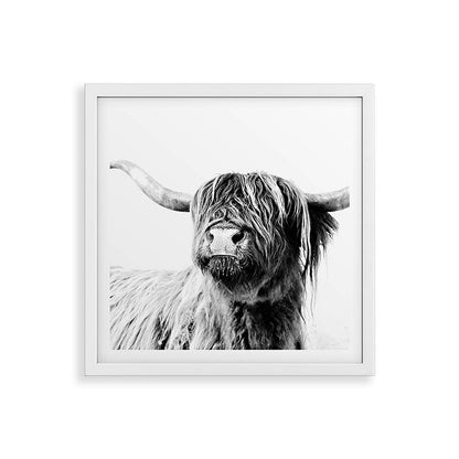 HIGHLAND CATTLE FRIDA Framed Art Print Gallery Image 38