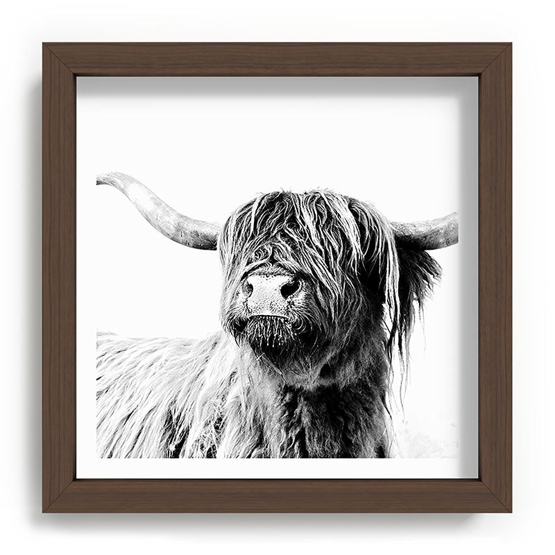 HIGHLAND CATTLE FRIDA Framed Art Print Gallery Image 98