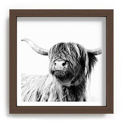 HIGHLAND CATTLE FRIDA Framed Art Print Gallery Image 98