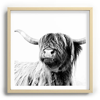HIGHLAND CATTLE FRIDA Framed Art Print Gallery Image 109