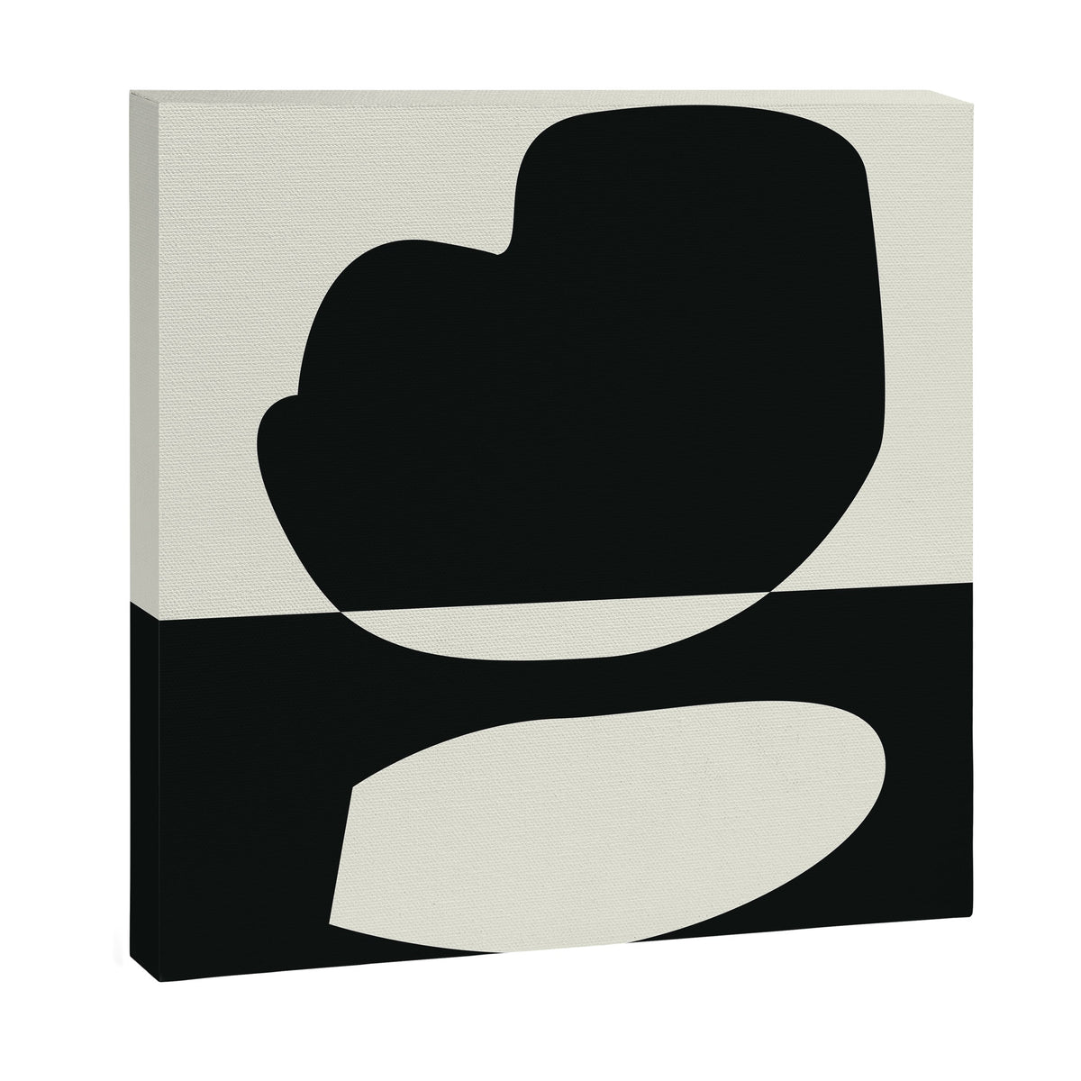 // Reverse 01 Canvas Print Gallery Image 6