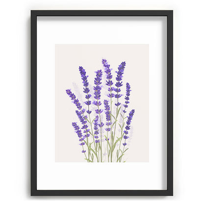 Lavender II Framed Art Print Gallery Image 61