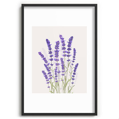Lavender II Framed Art Print Gallery Image 62