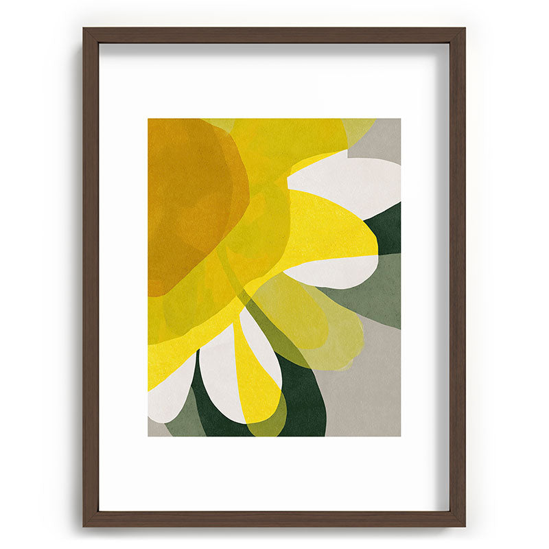 Petals in Full Light Framed Art Print Gallery Image 66