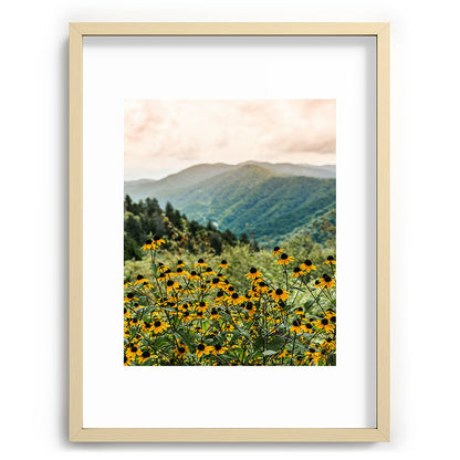 Smoky Mountains Wildflower Nature Photography Framed Art Print Gallery Image 72