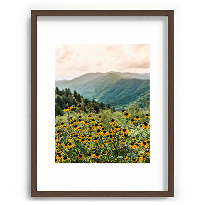 Smoky Mountains Wildflower Nature Photography Framed Art Print Gallery Image 66
