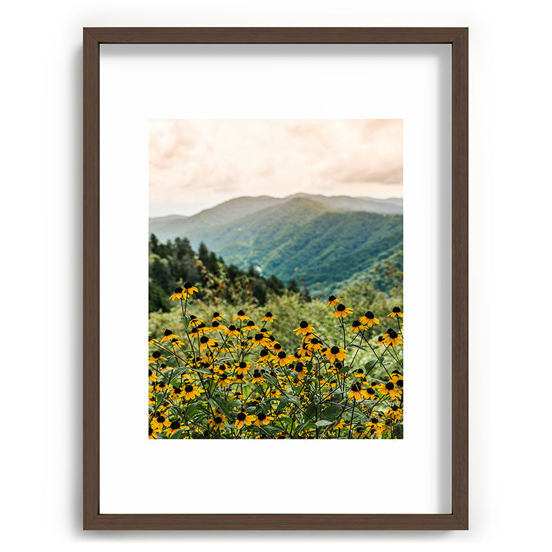 Smoky Mountains Wildflower Nature Photography Framed Art Print Gallery Image 67