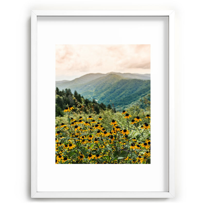 Smoky Mountains Wildflower Nature Photography Framed Art Print Gallery Image 79