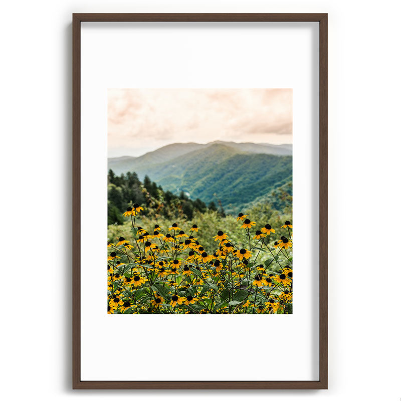 Smoky Mountains Wildflower Nature Photography Framed Art Print Gallery Image 68