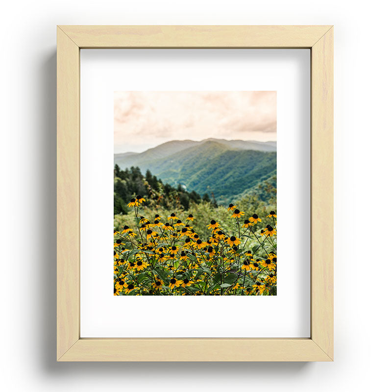 Smoky Mountains Wildflower Nature Photography Framed Art Print Gallery Image 70