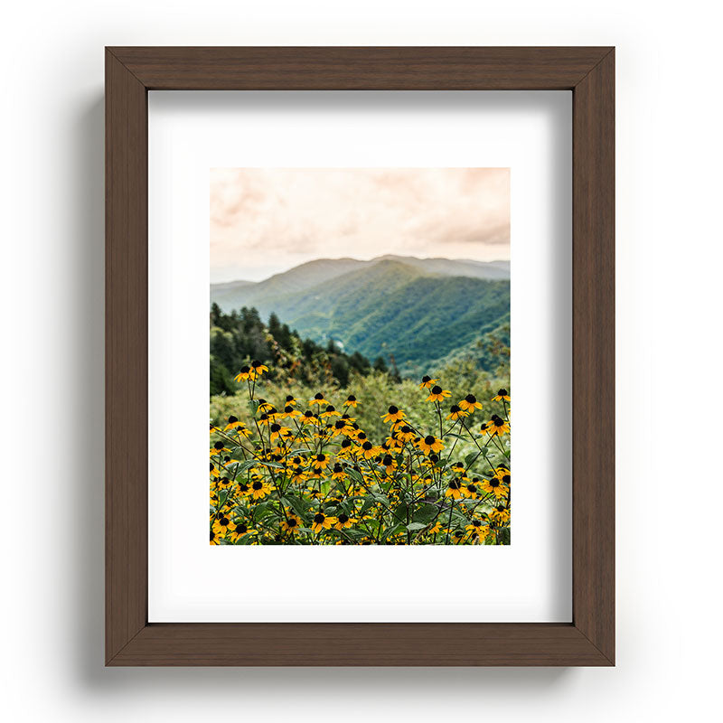 Smoky Mountains Wildflower Nature Photography Framed Art Print Gallery Image 63