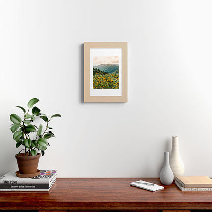 Smoky Mountains Wildflower Nature Photography Framed Art Print Gallery Image 45