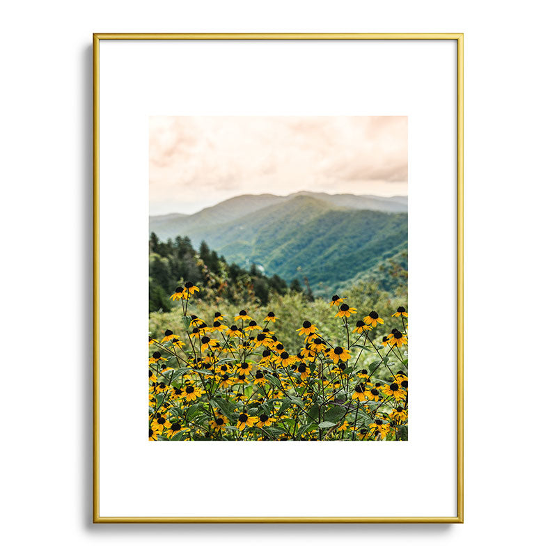 Smoky Mountains Wildflower Nature Photography Framed Art Print Gallery Image 92
