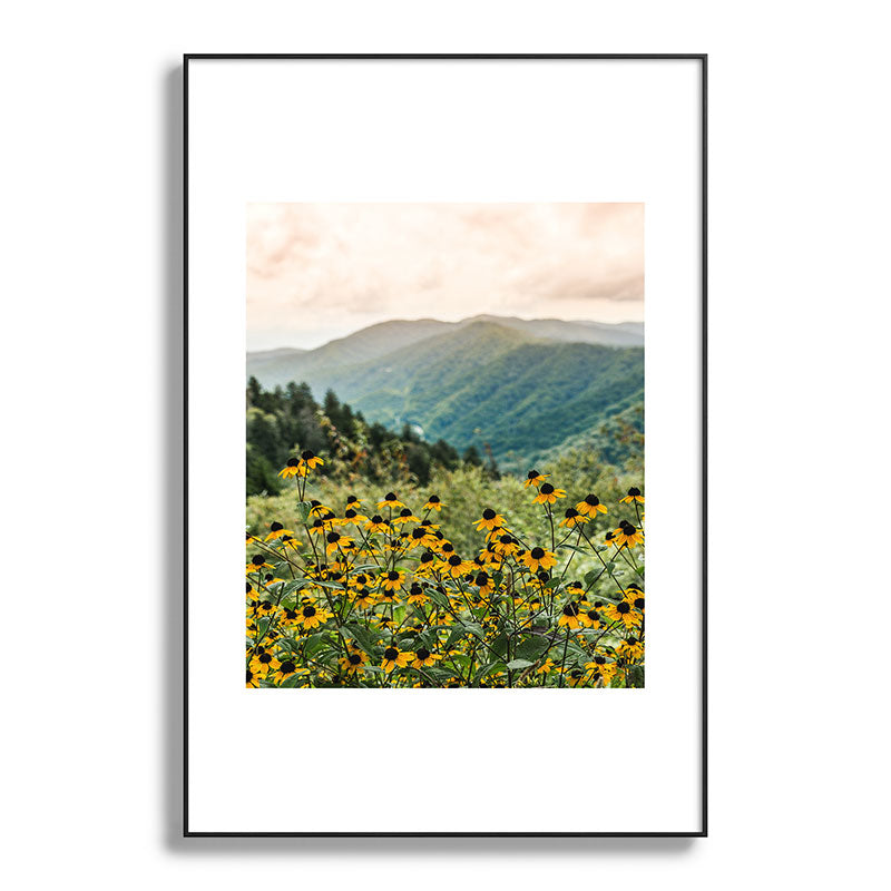 Smoky Mountains Wildflower Nature Photography Framed Art Print Gallery Image 86